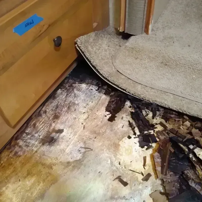 Best Wood Floor Water Damage Service in Johnstown, CO